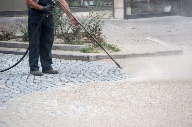 Animal Enclosure Cleaning in Webster, SD
